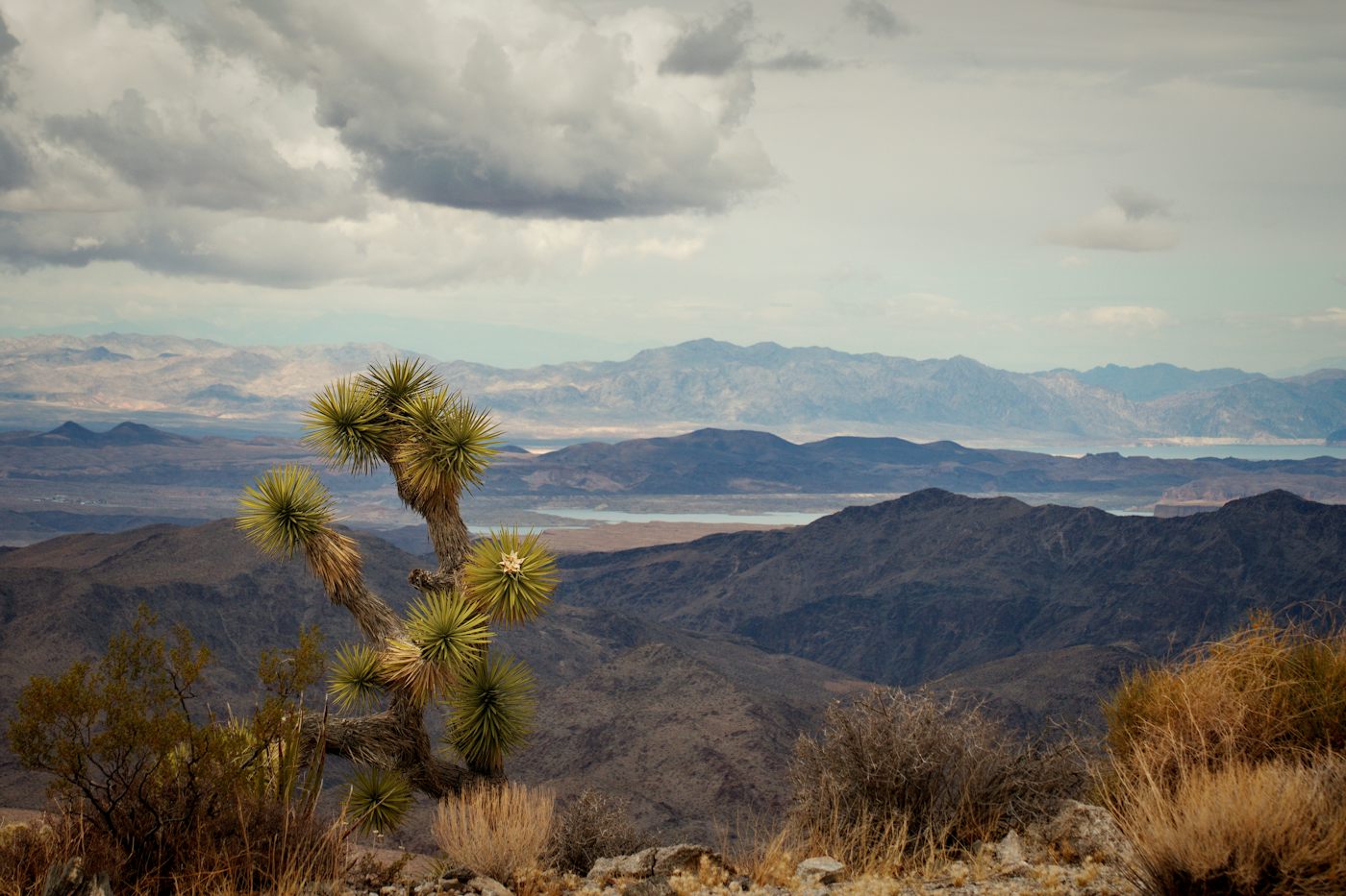 High-desert overlook of the Colorado River corridor near Bullhead City and Fort Mohave, Mohave County, Arizona